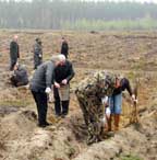 Рівненські народники садили ліс