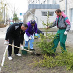 Василь Кравченко: «Кожен за своє життя має посадити невеликий парк»